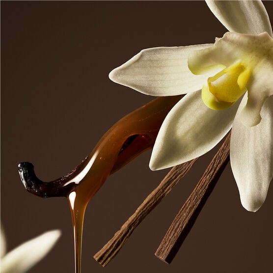 RARE MINI EAU DE PARFUM SET